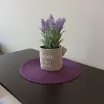 Апартаменты Orchid Золотые Пески