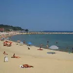 Orchid * Golden Sands