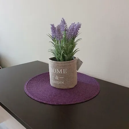 Appartement Orchid Goudstrand