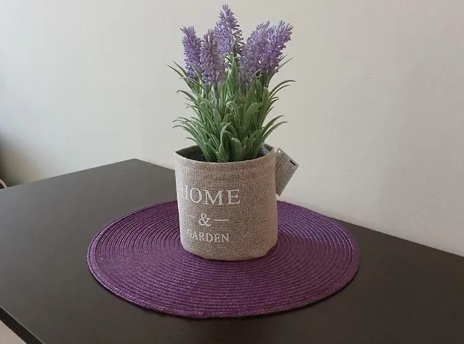 公寓 Orchid 金沙